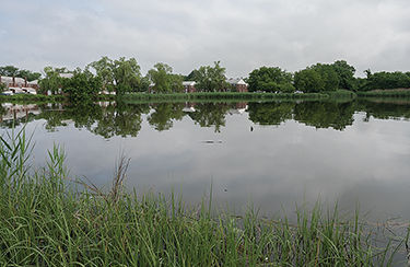 MD Port Administration gives $500,000 to revive community waterfront